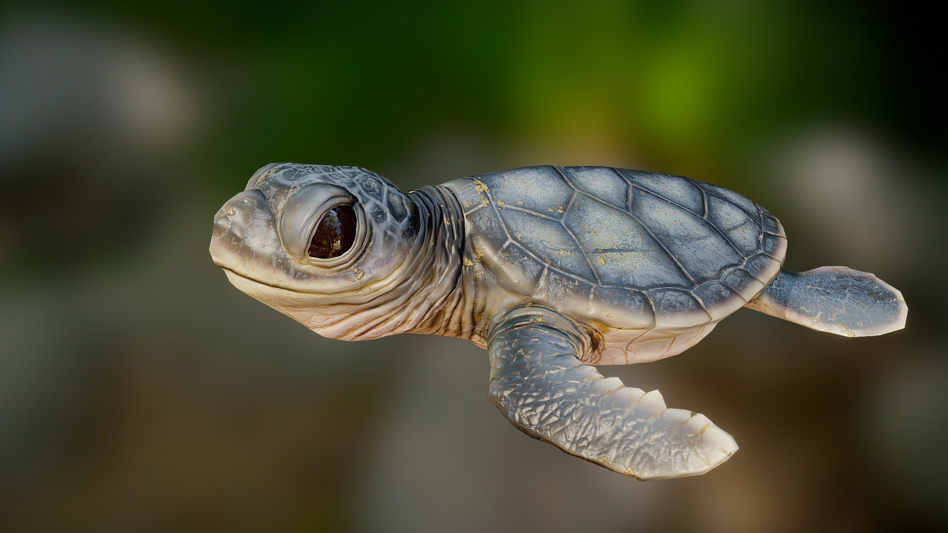 Turtle game ready