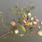 Urban Meadow in Summer / Asset Pack