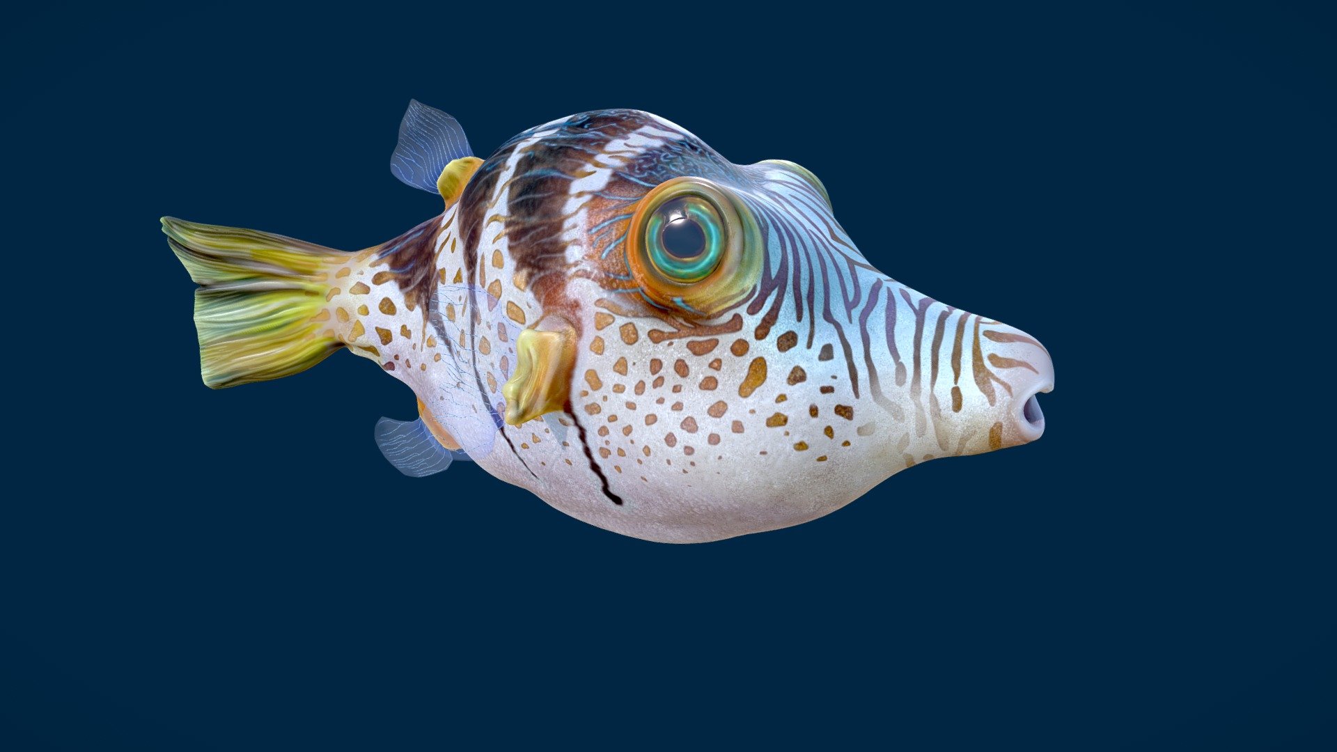 Valentinni’s sharpnose puffer