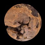 Wood Sphere