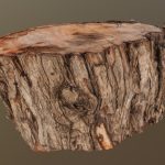 Wooden Tree Block