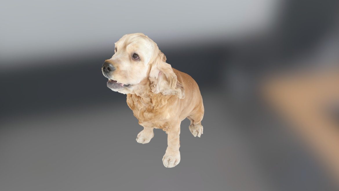 woof 3d model