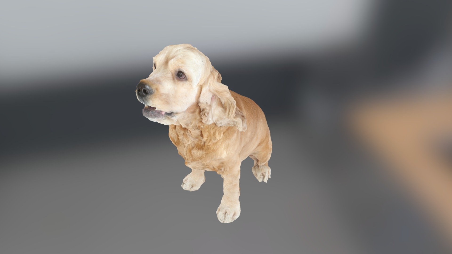 WOOF