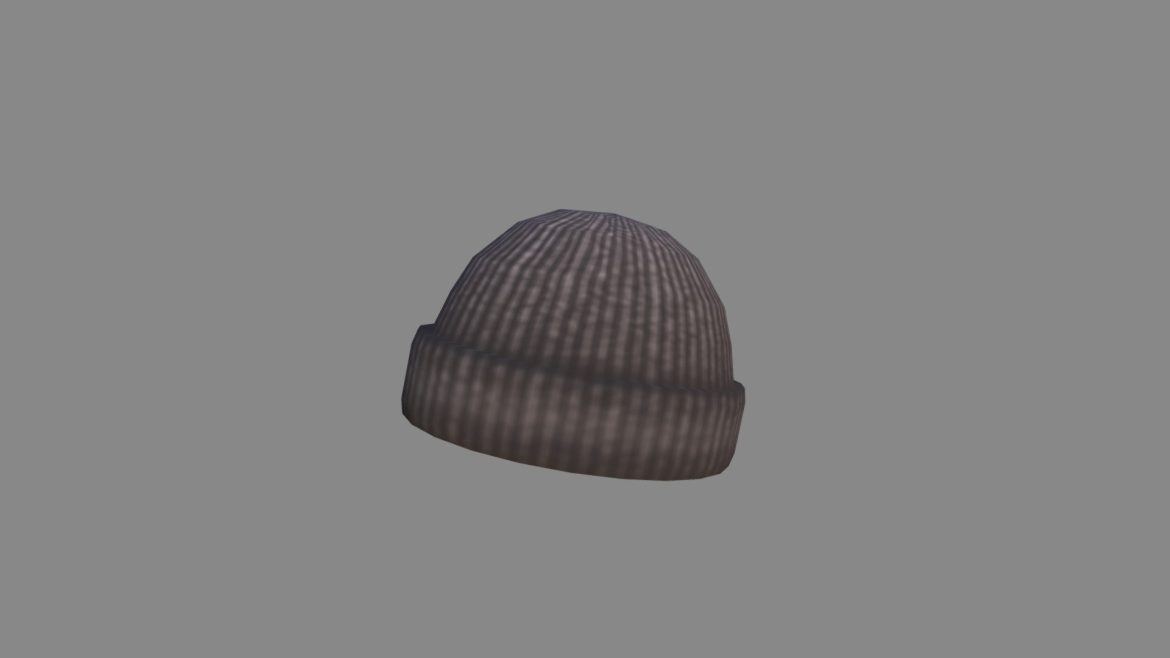 wool hat 3d model