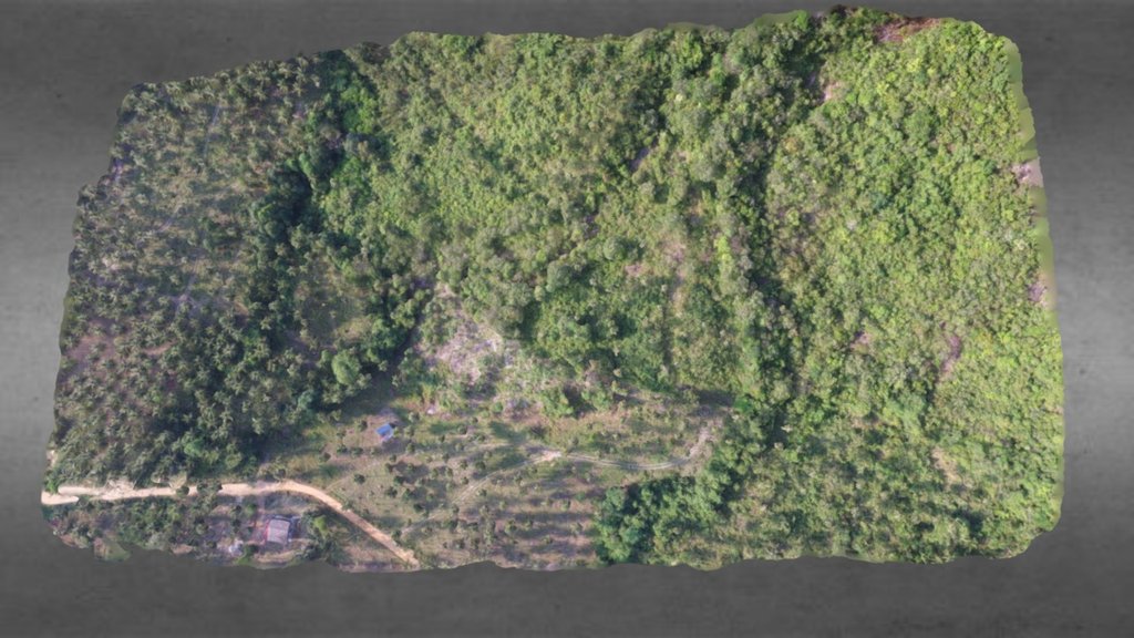 12 Rai for Sale in Taling Nam