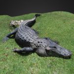 alligator reduced 1300k polys to 113k 3d model