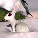 Bunny new Bear