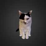 Cat-sample-01