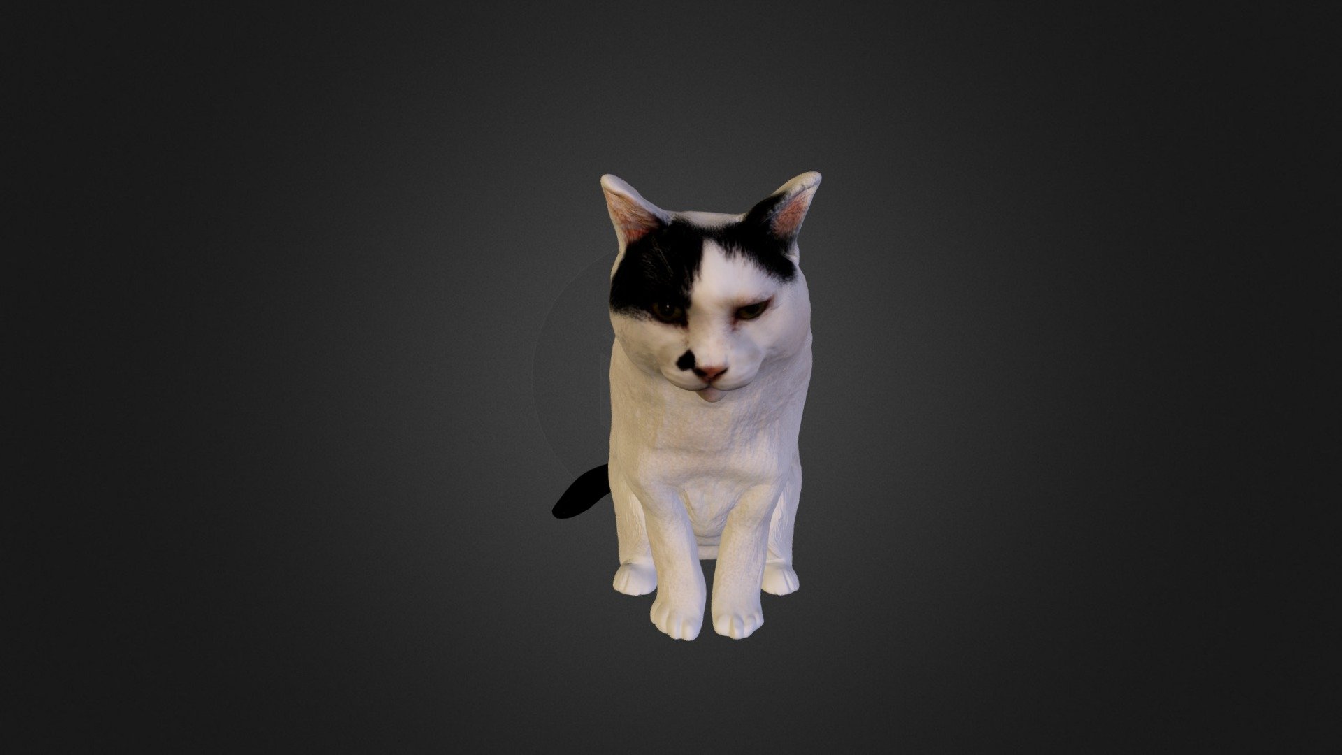 Cat-sample-01