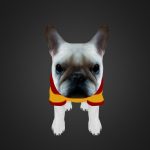 Dog28