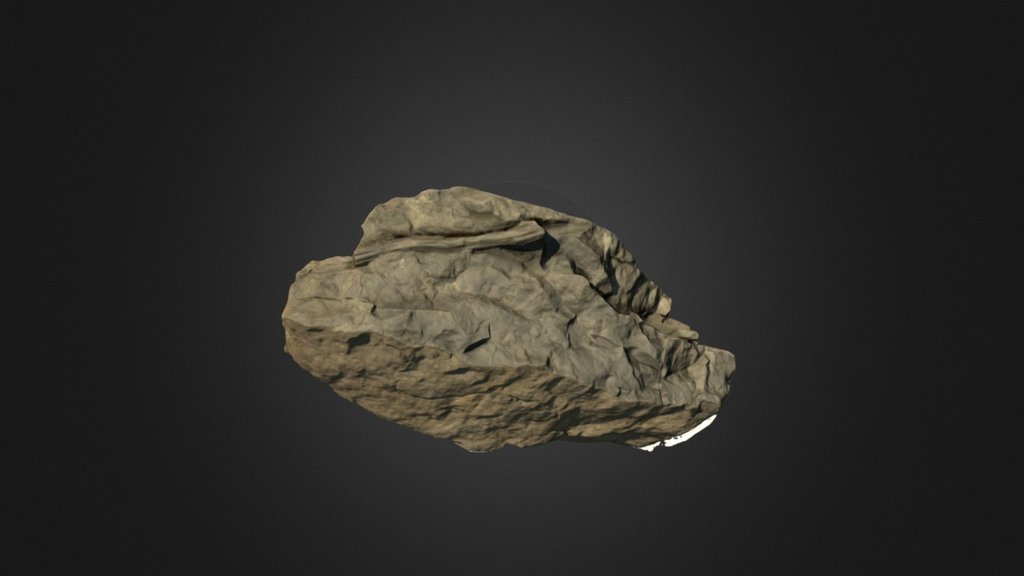 Equisetites – Capitol Reef National Park