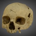 Female skull injured by a medieval sword