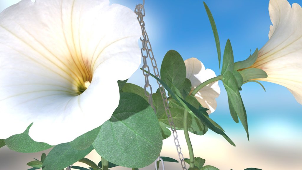 Flowers Petunia White