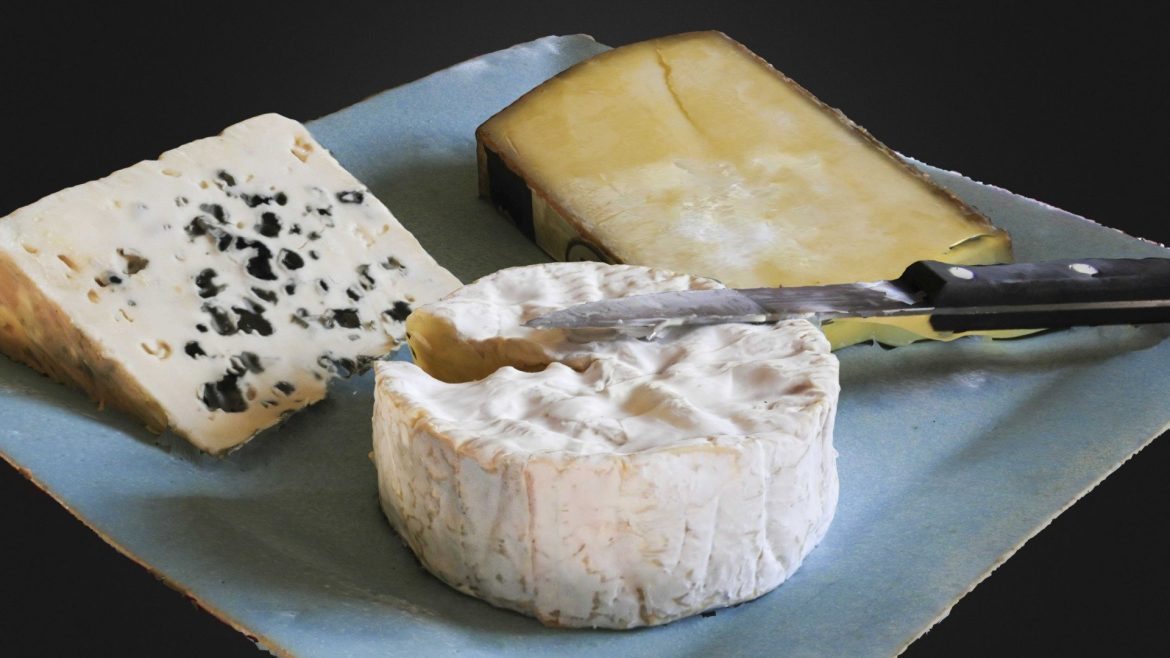 french cheese un peu de fromage 3d model