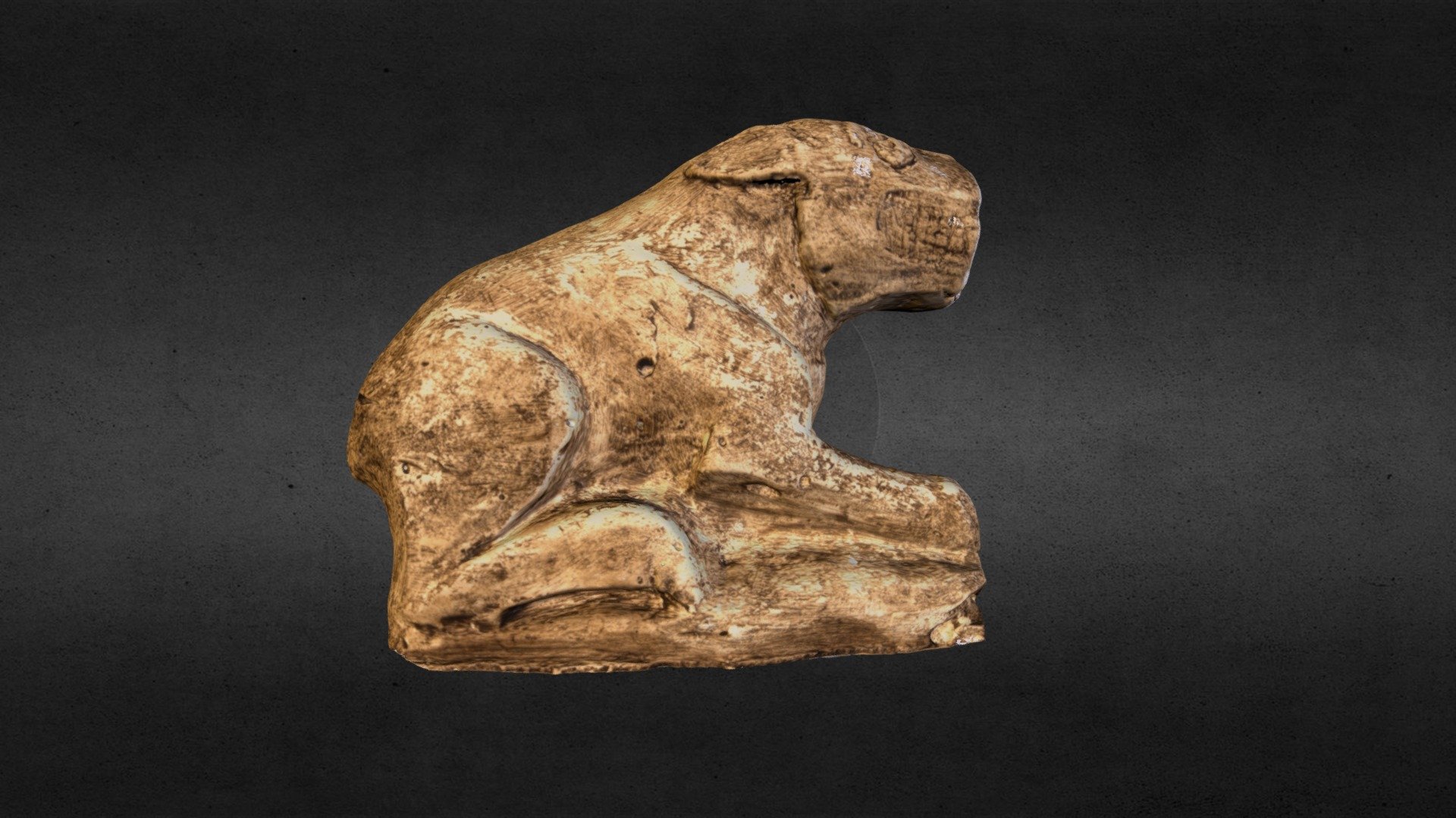 Iberian Lioness