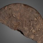 Lindisfarne: Anglo-Saxon Name Stone v1