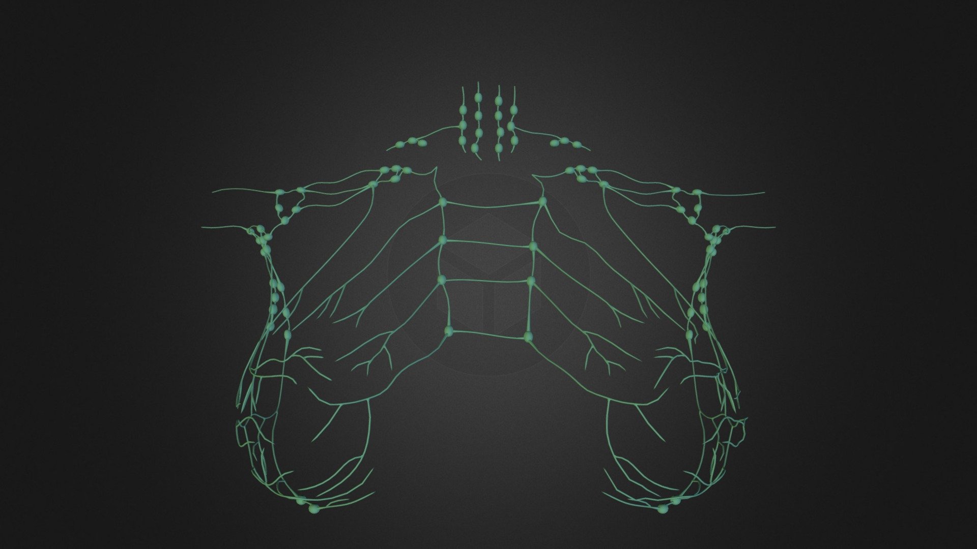 lymph_OBJ_curt.zip