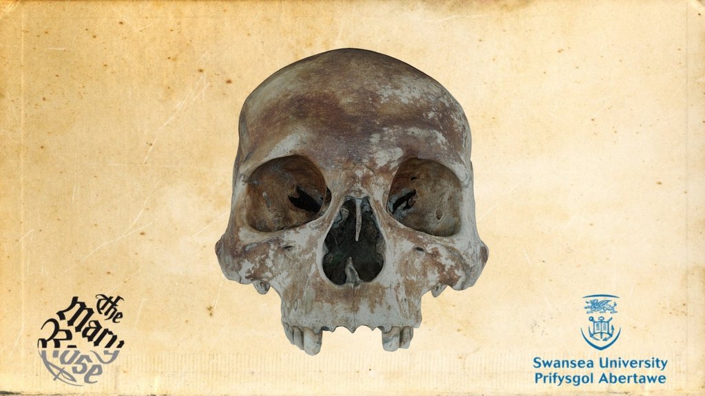 Mary Rose carpenter’s skull