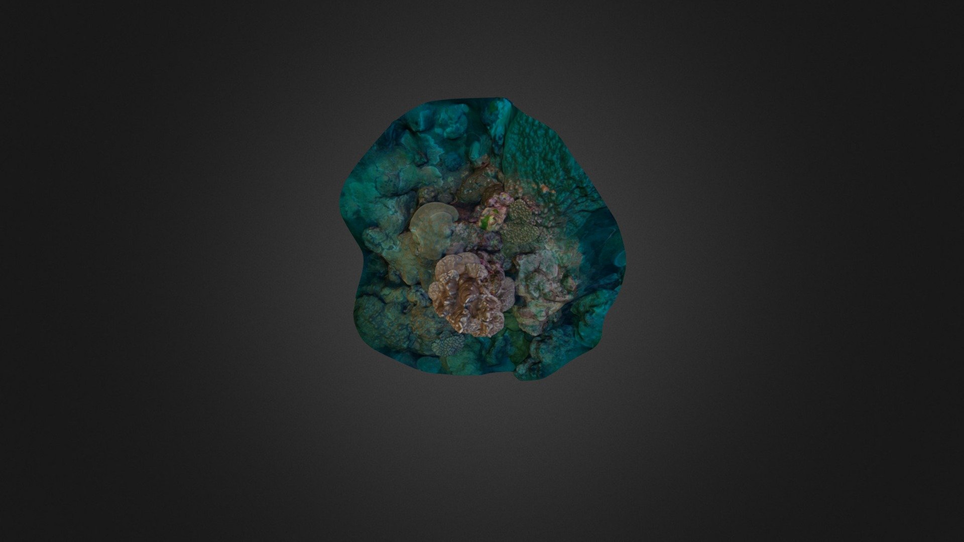 NPSA Coral