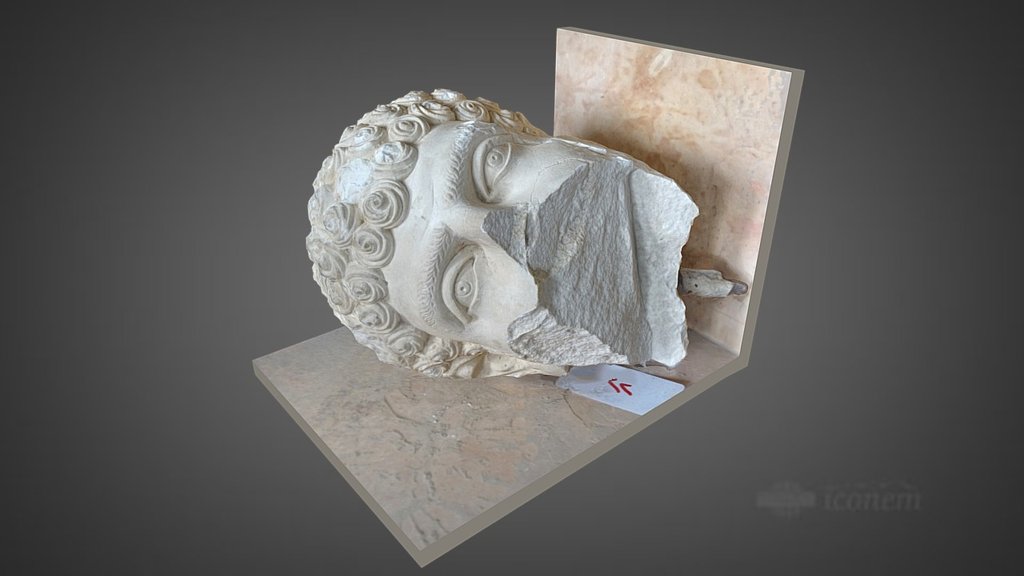 Palmyra Museum head