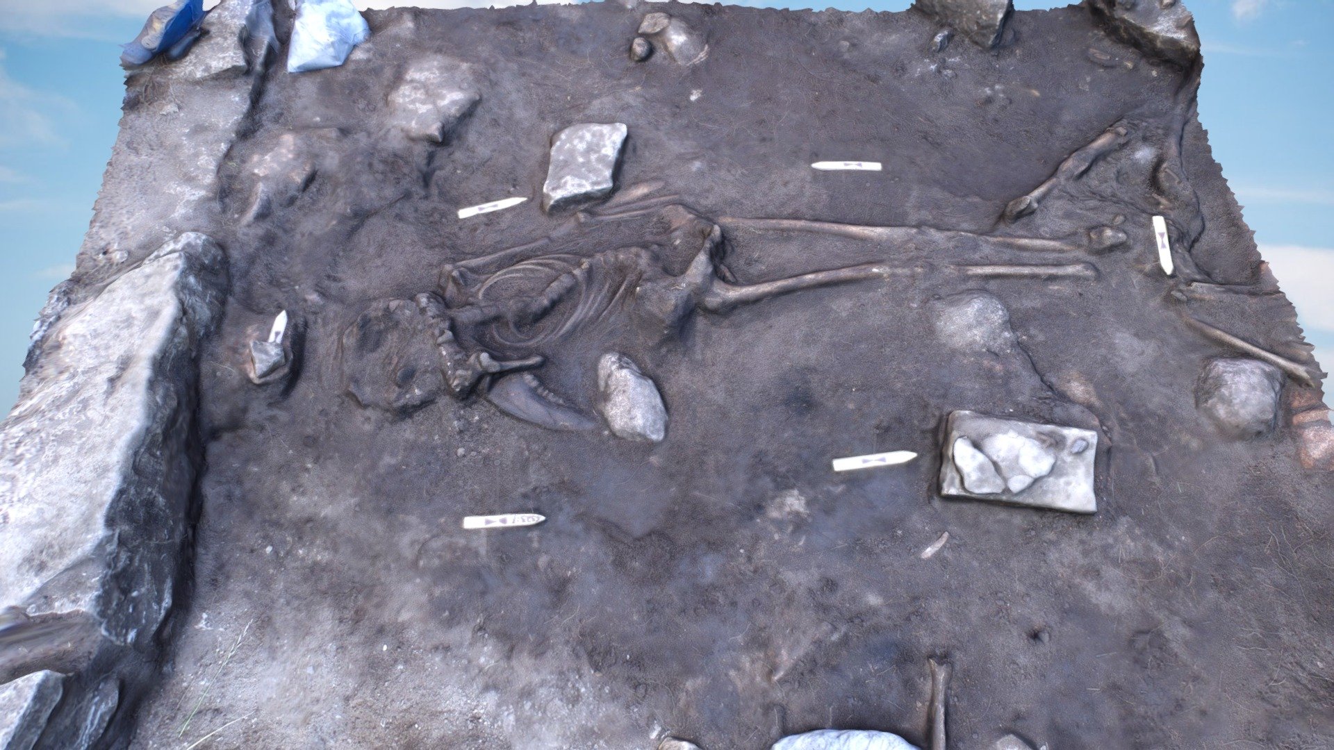 Sandby borg skeleton