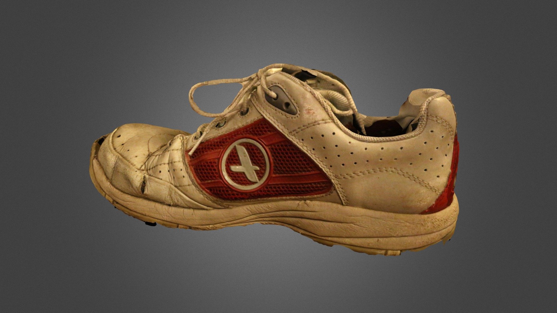 Shoe #3DST10