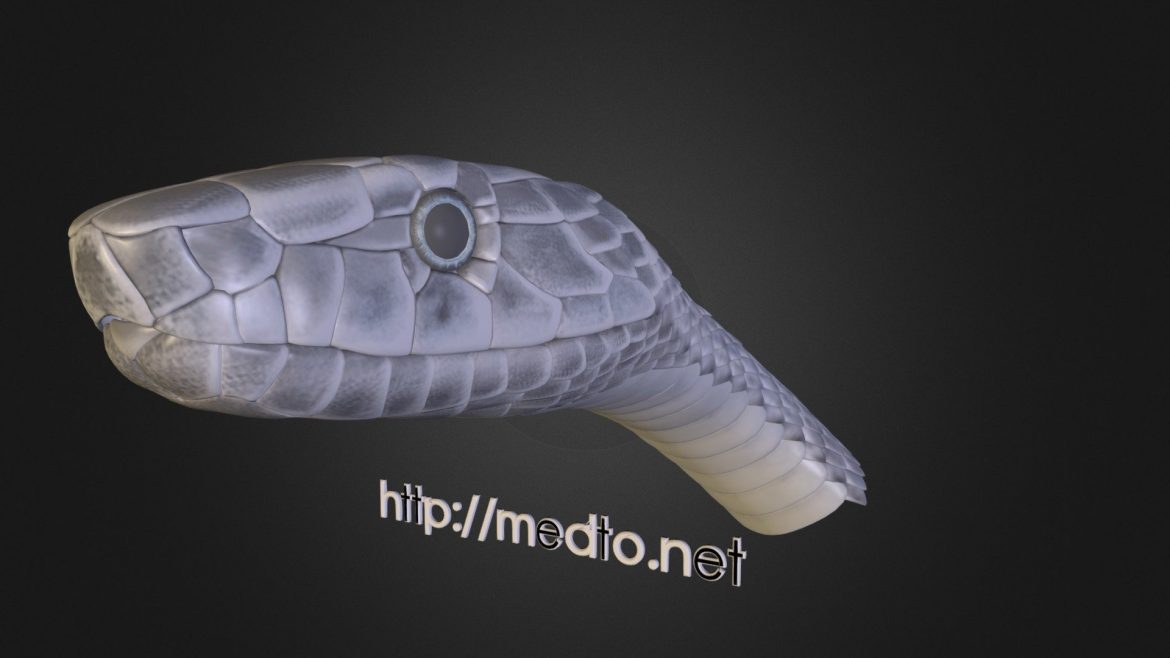 snake head projet equal forces 3d model