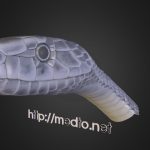 snake_head_projet_equal_forces
