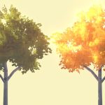 trees and foliage 3d model