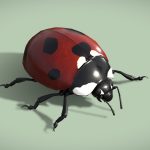 animated ladybug coccinella septempunctata 3d model