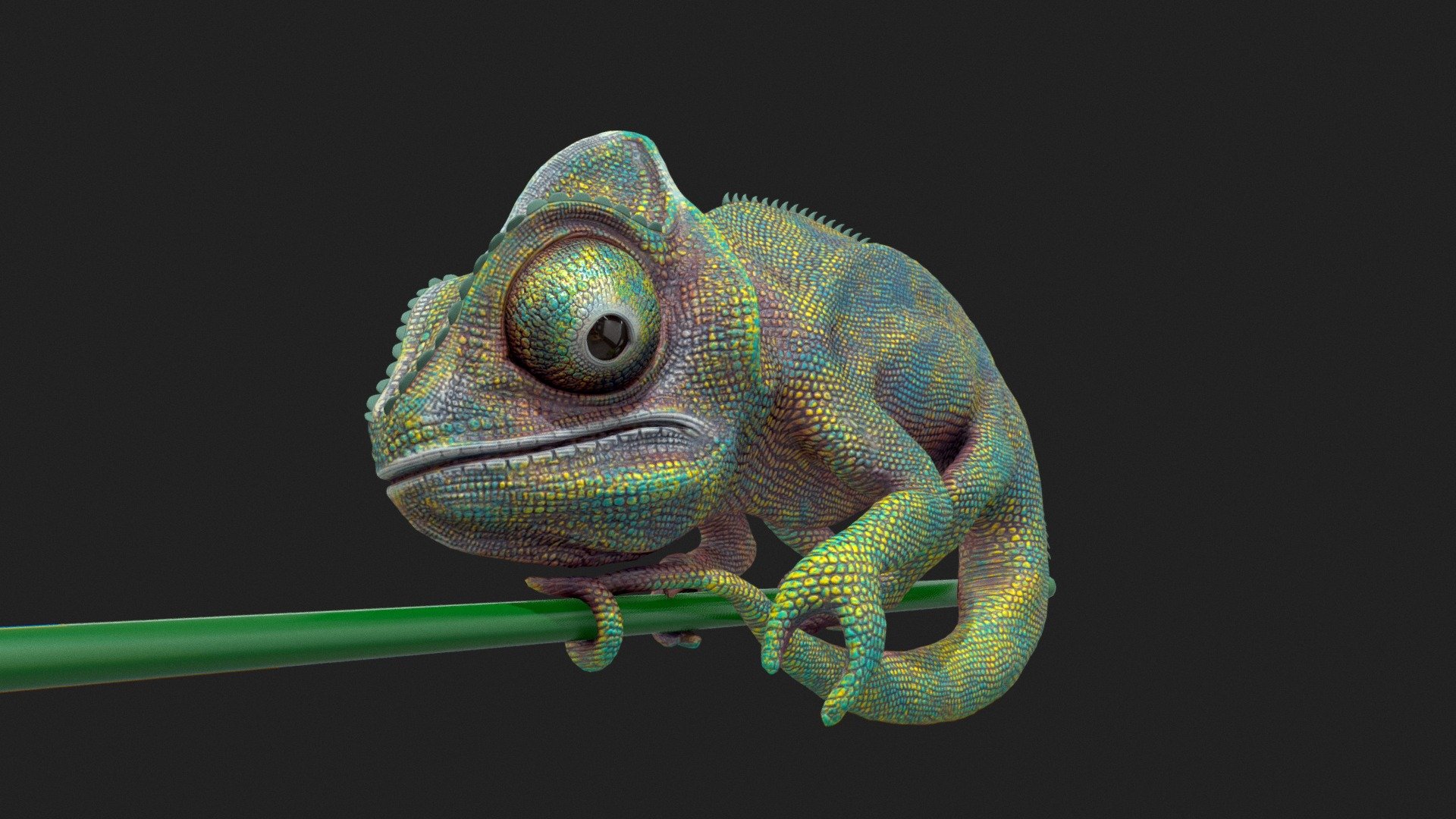 Chameleon – my model