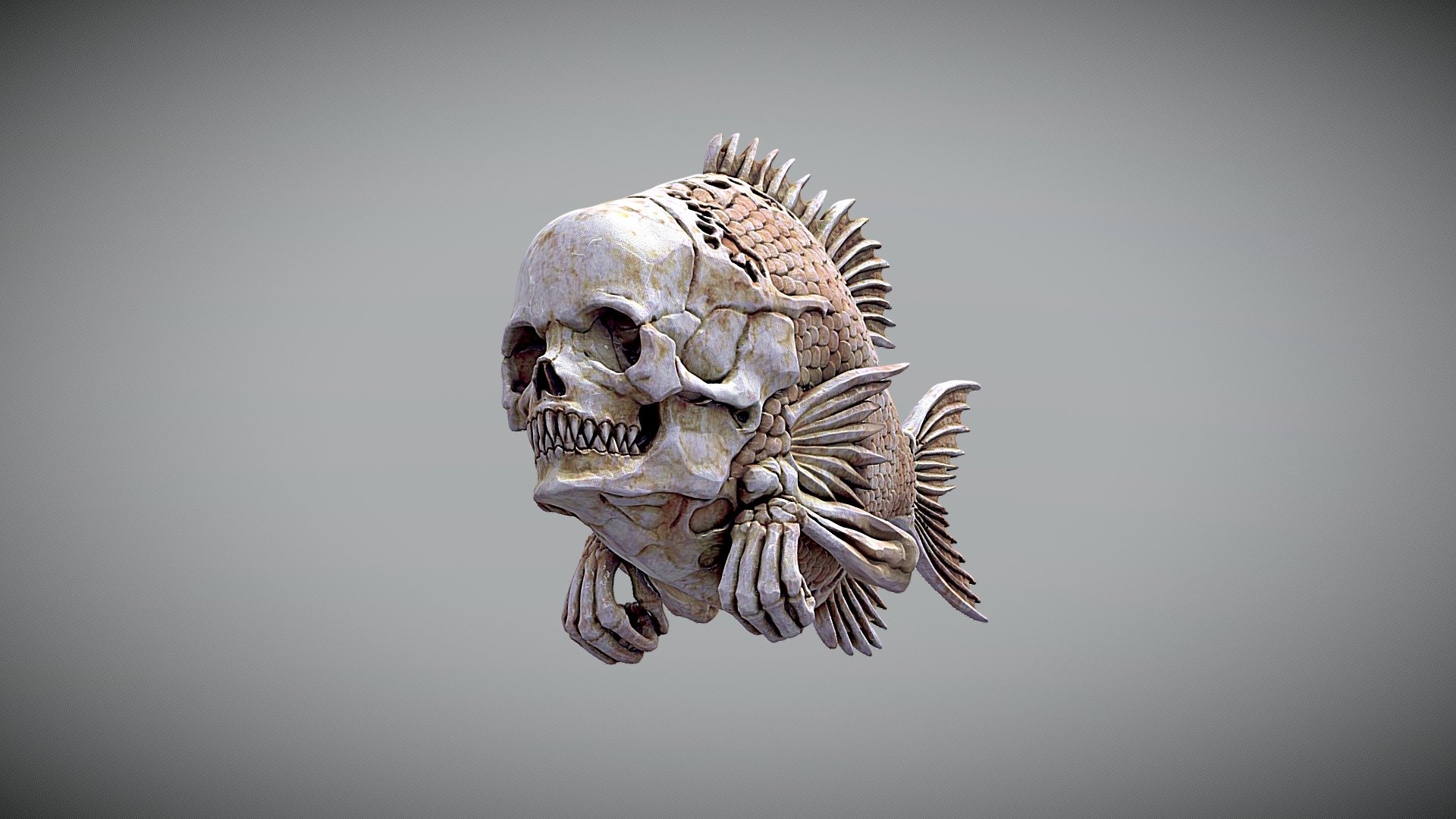FISHHEAD