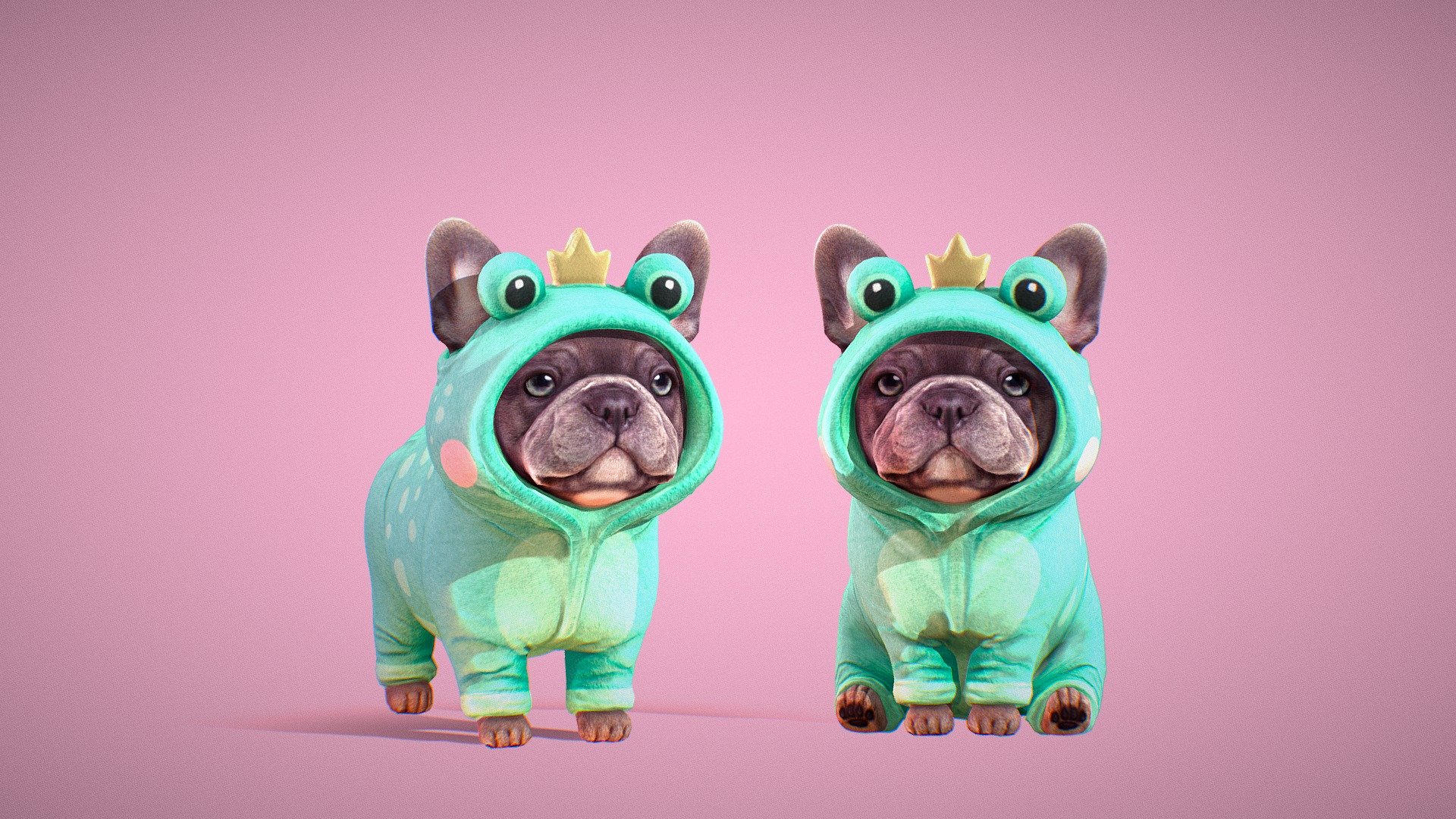 Froggy doggy