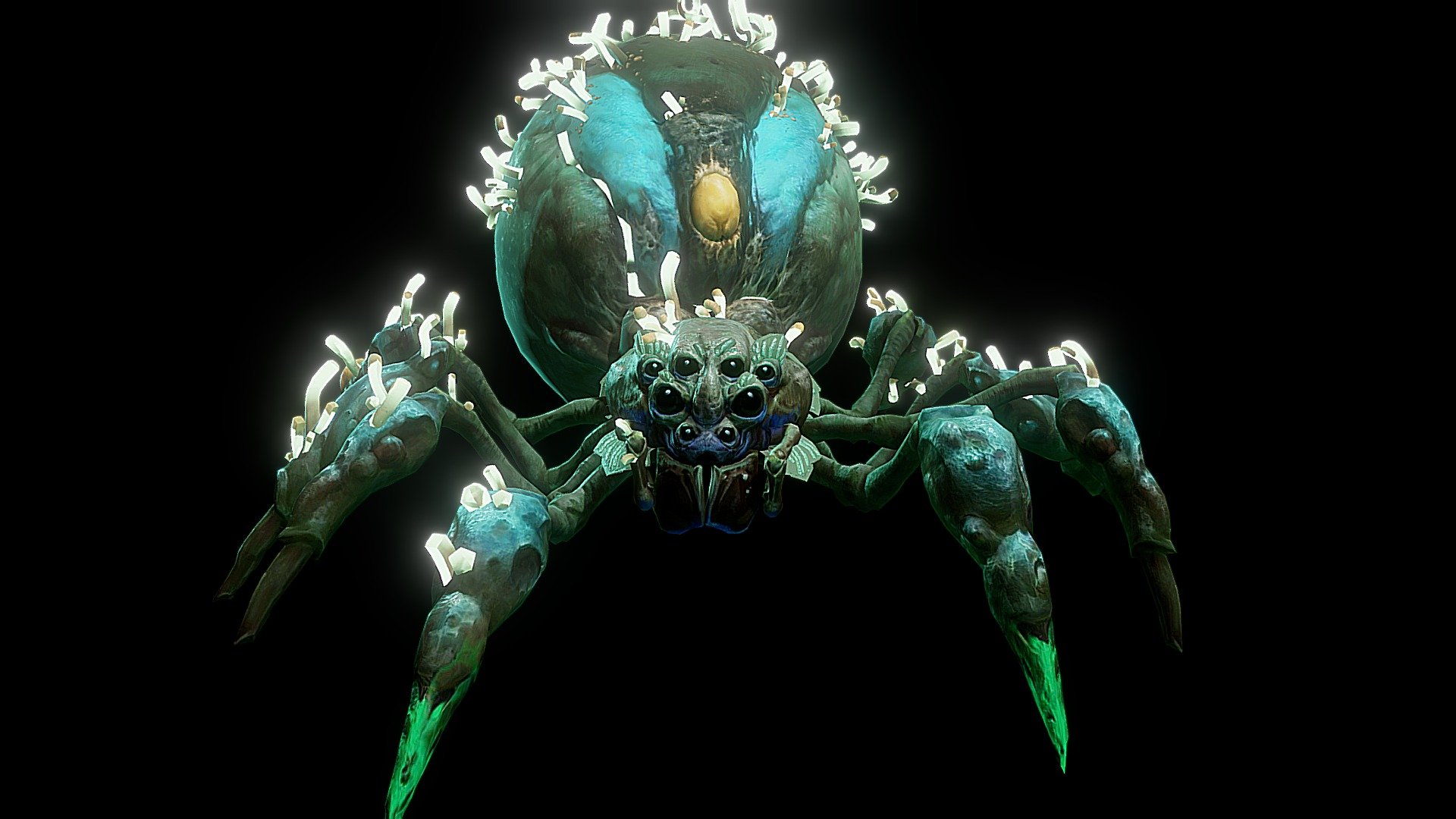 giant_king_spider