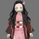 Kamado Nezuko