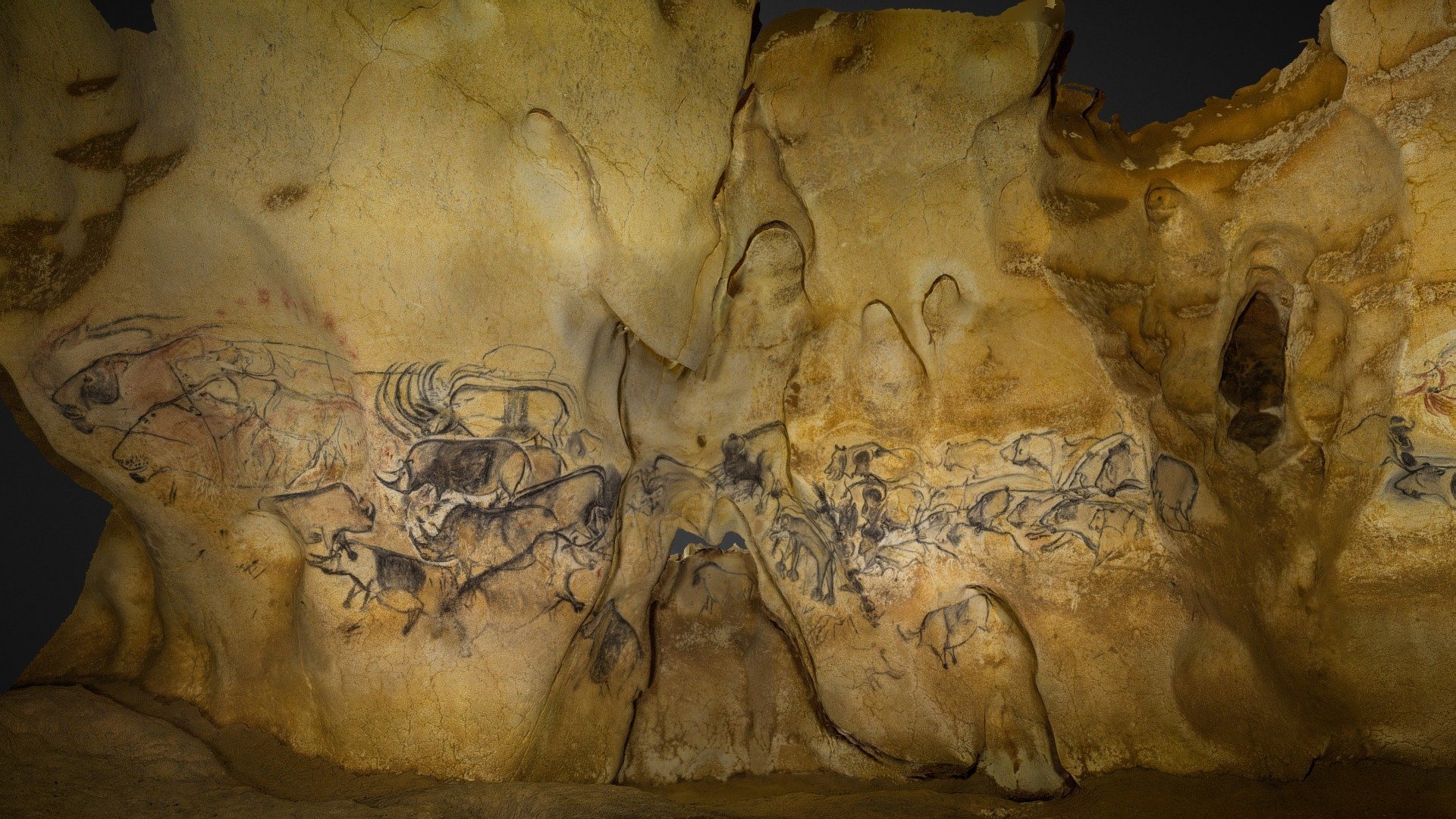 The Lion Panel of Chauvet, France