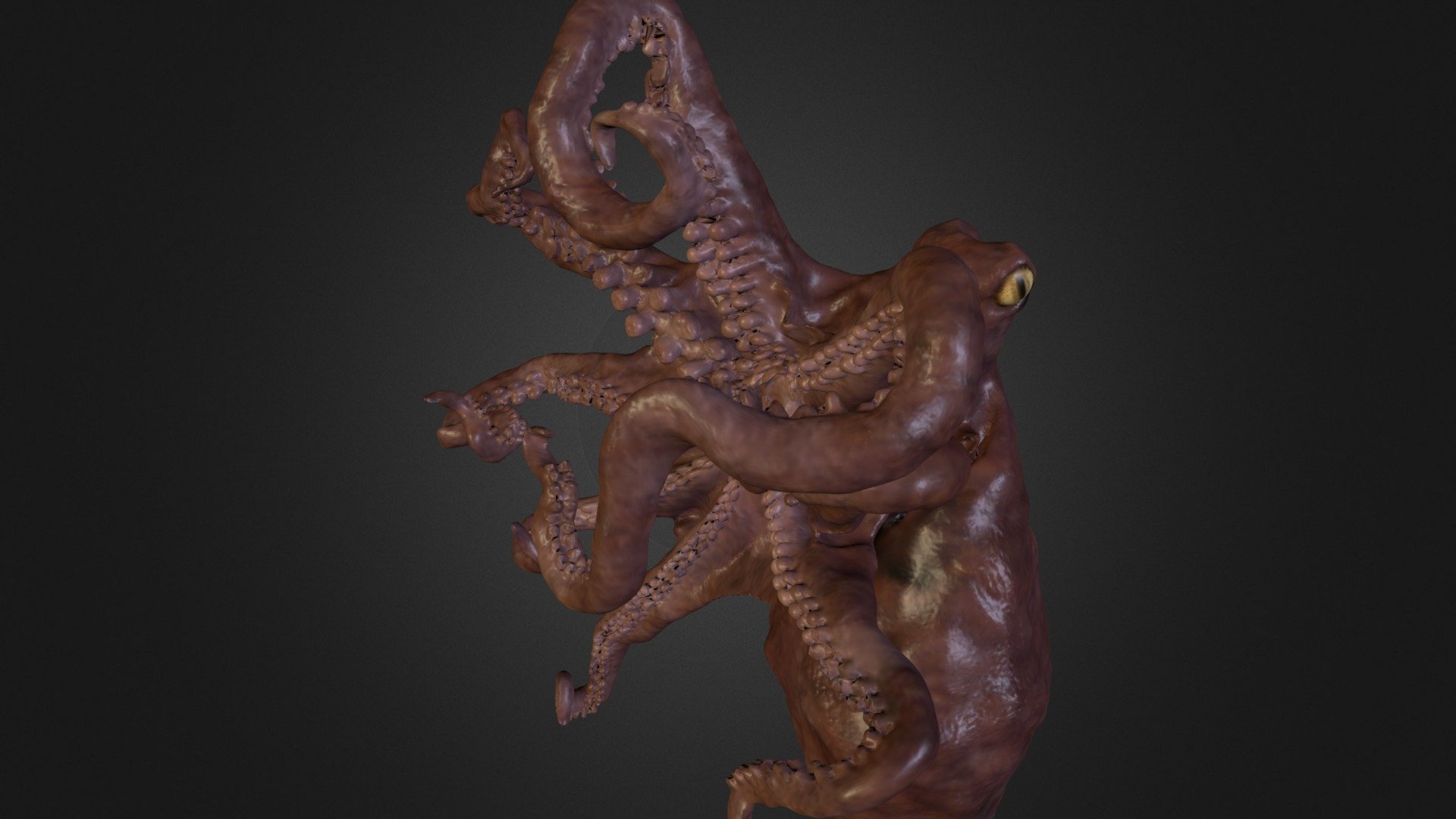 The skin of the octopus
