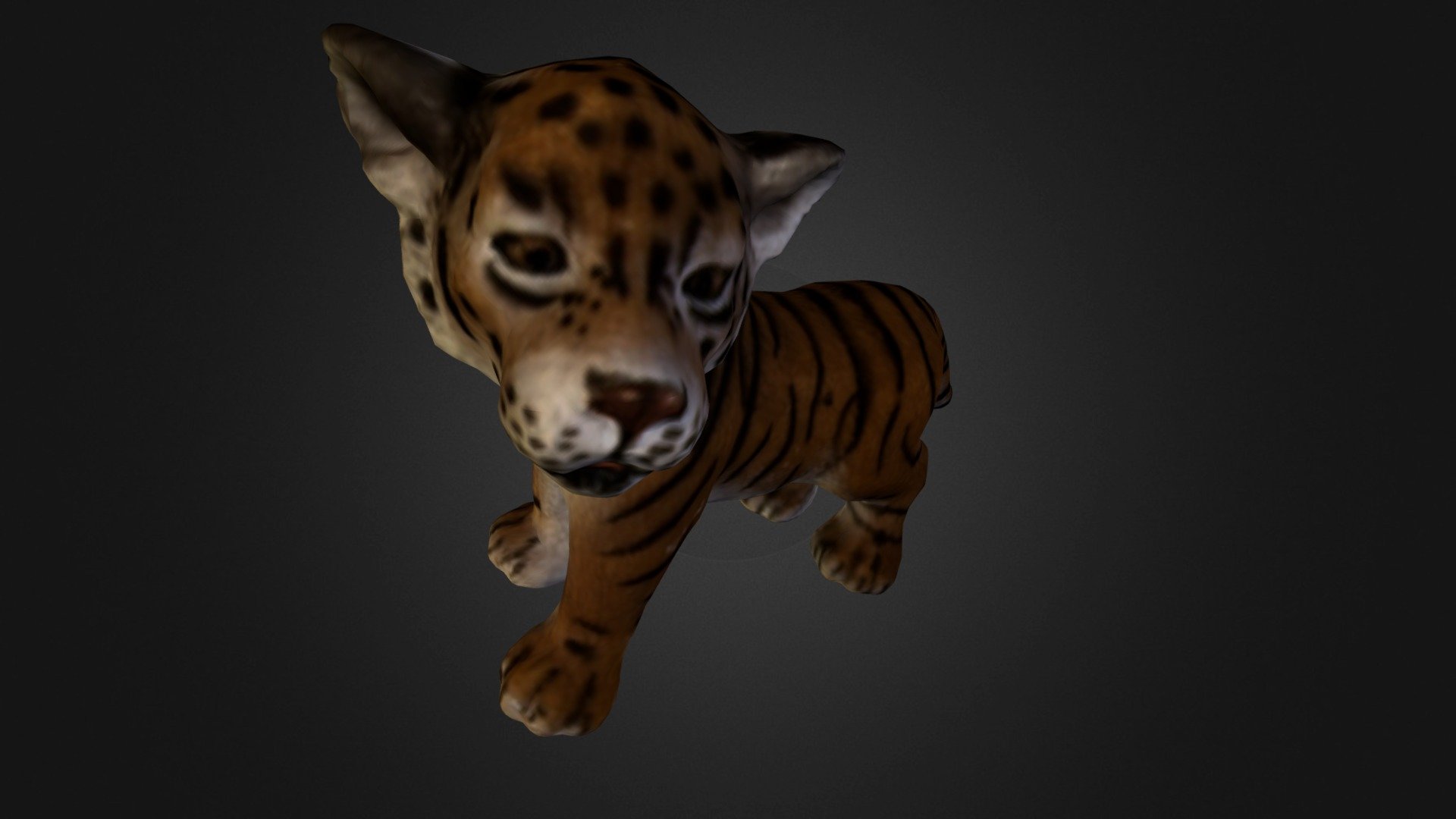 Tiger young