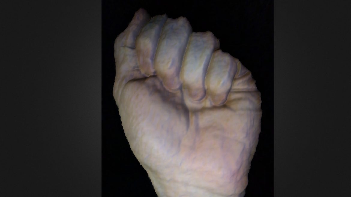 trimensional hand scan 3d model
