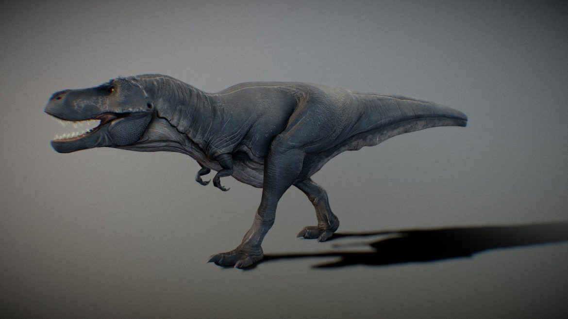 tyrannosaurus rex 3d model