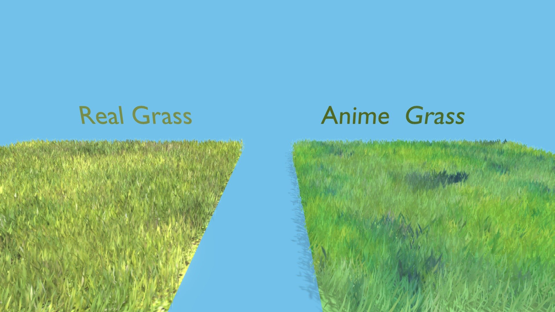 Anime & Real Grass