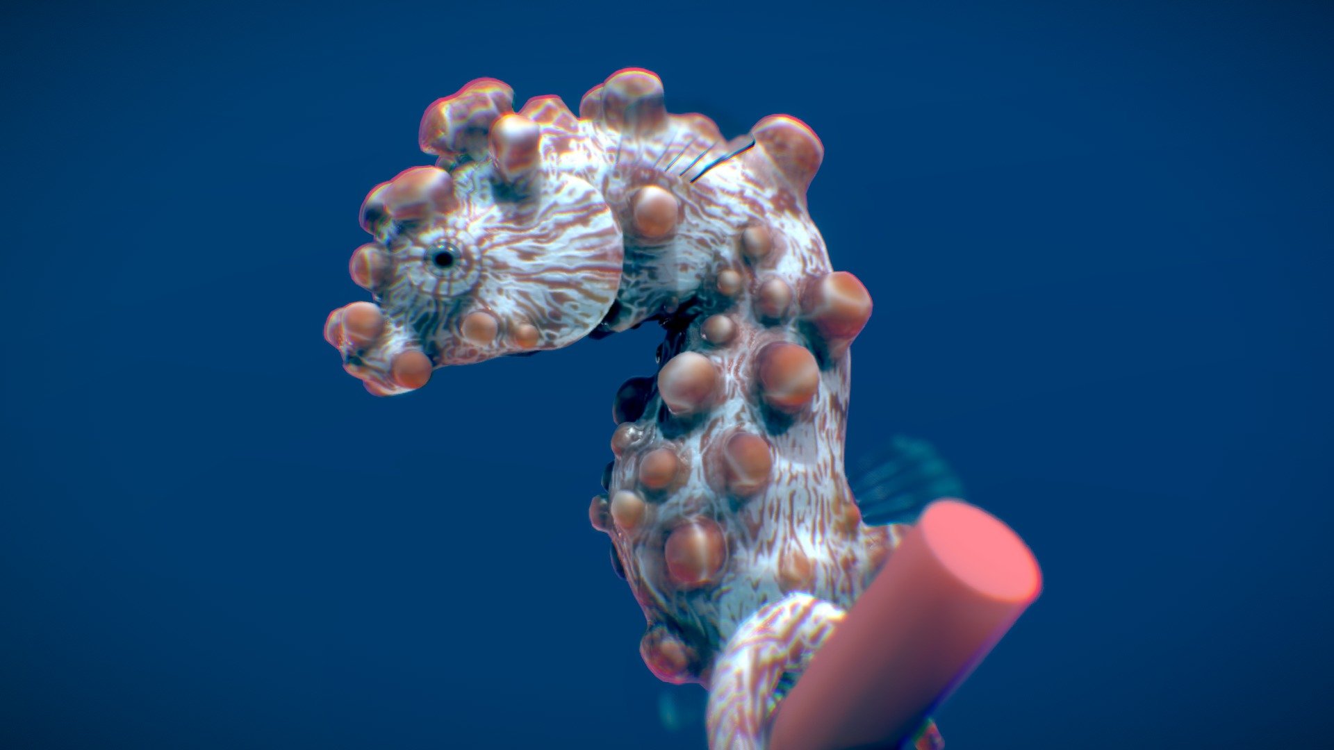 Bargibant’s Seahorse