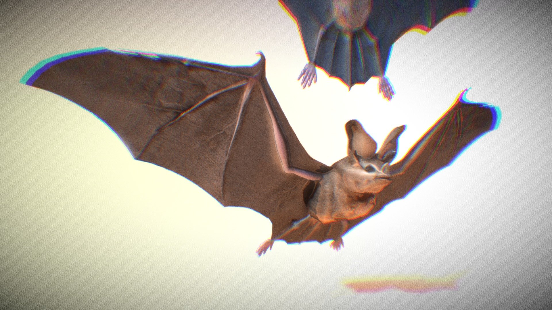 Bat