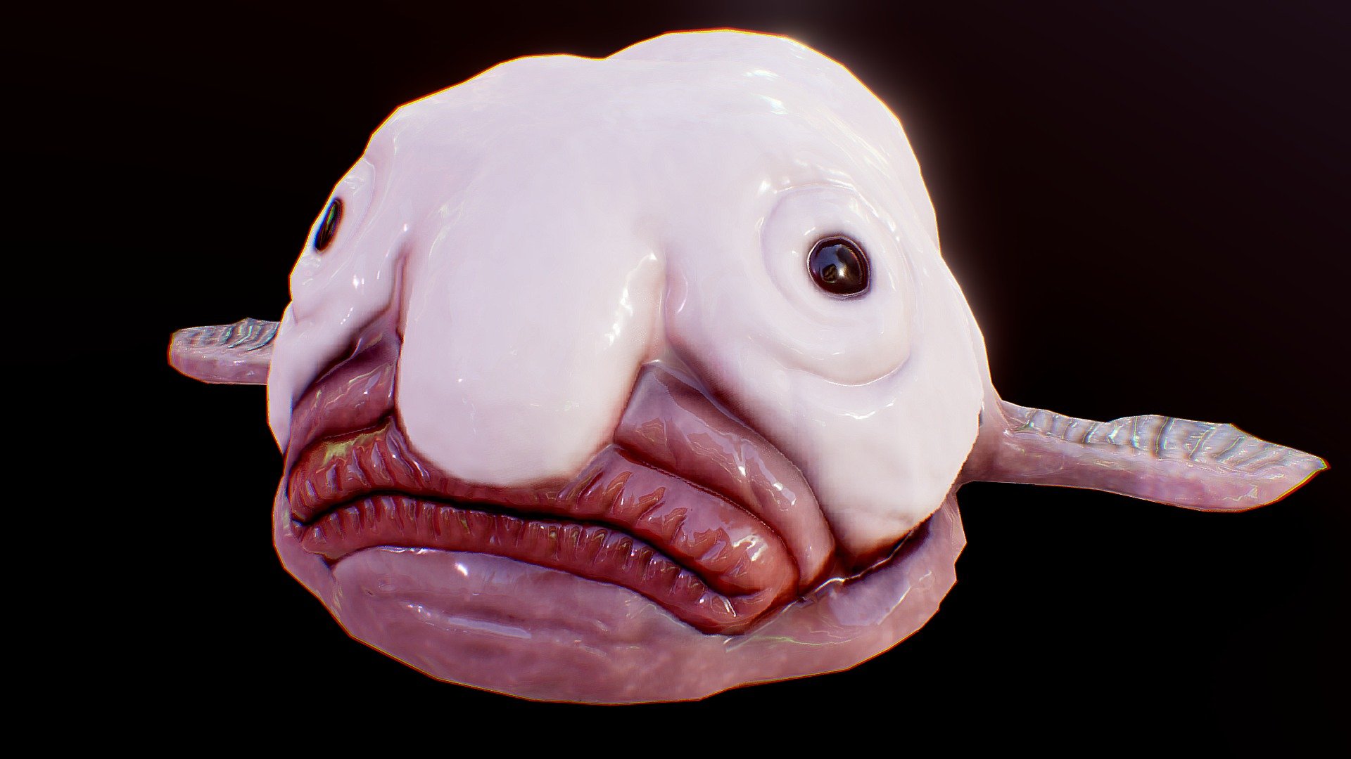 BlobFish