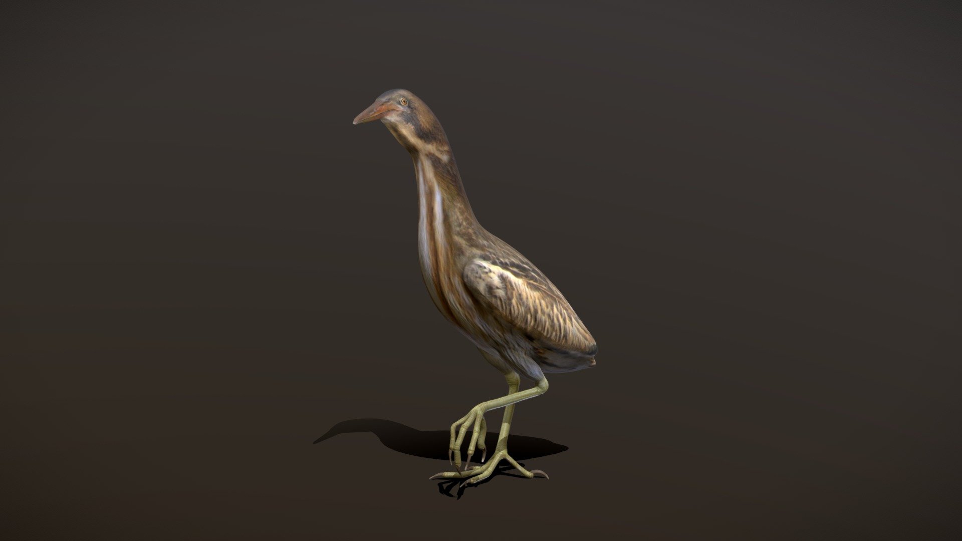Botarus Stellaris