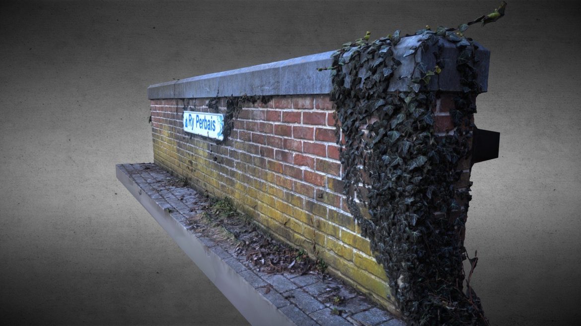 brick wall and ivy vigne 3d model