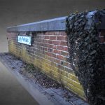 brick wall and ivy vigne 3d model