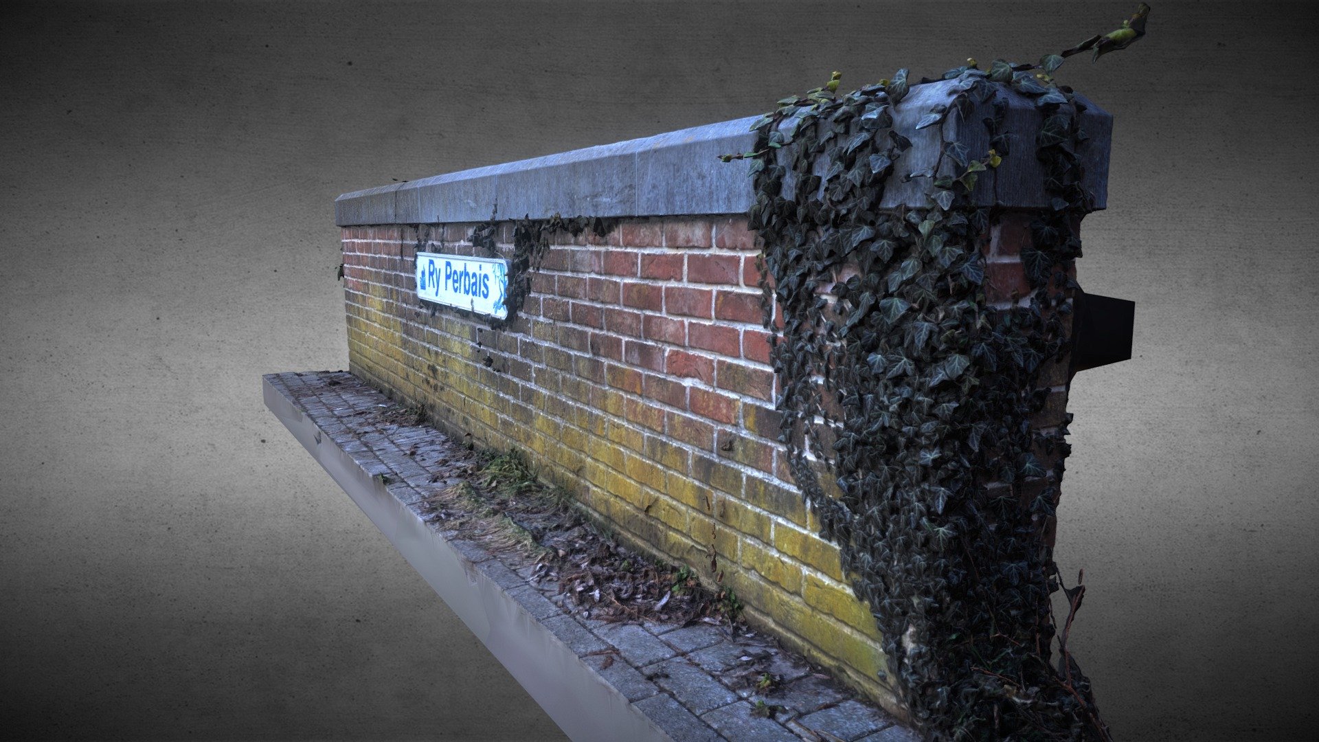 Brick Wall And Ivy Vigne