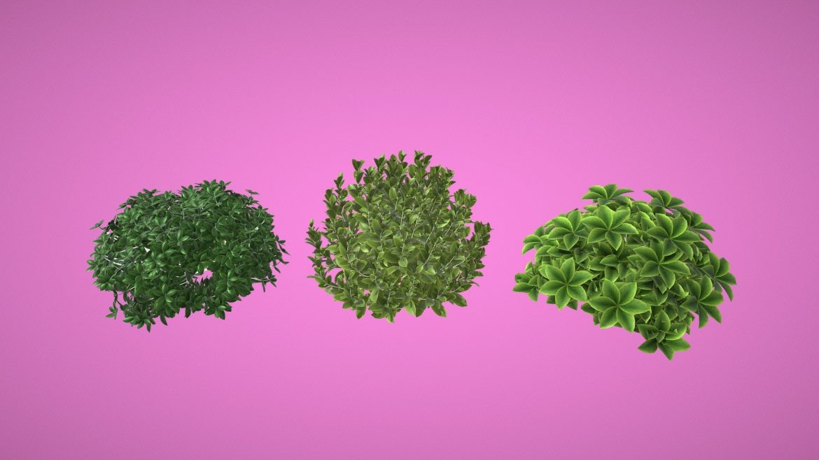 bush 3d model