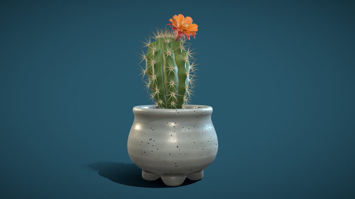 cactus 02 3d model